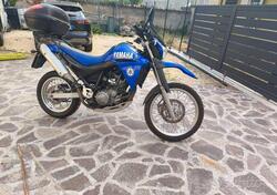 Yamaha XT 660 R (2004 - 16) usata