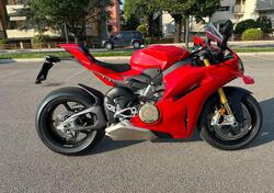 Ducati Panigale V4 S (2025) usata