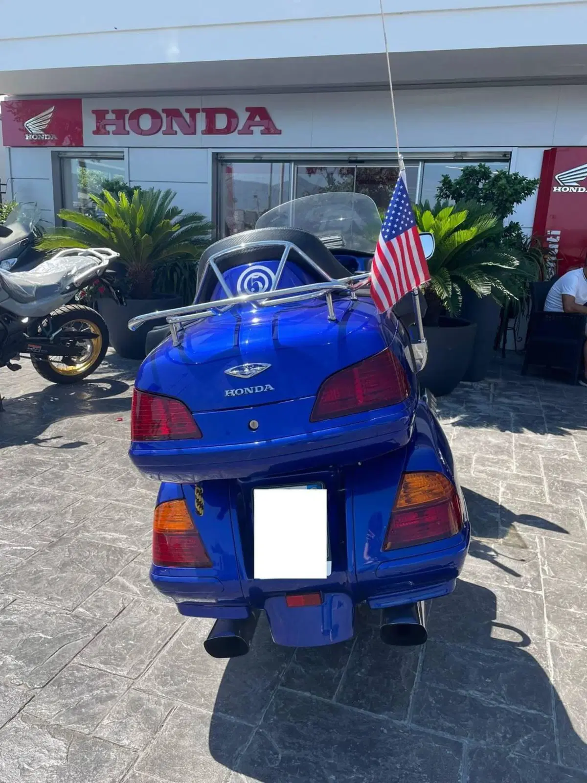 Honda GL 1800 Gold Wing (2006) (9)