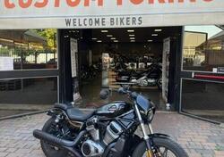 Harley-Davidson Nightster (2023 - 25) usata