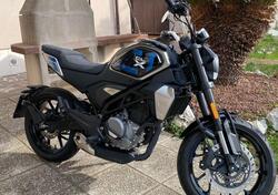 CFMOTO 300CL-X Heritage (2023 - 25) usata