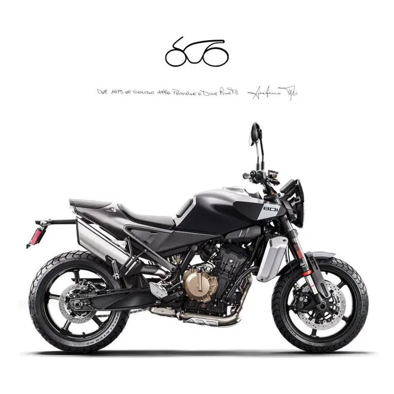 Husqvarna Svartpilen 801 (2024 - 26)