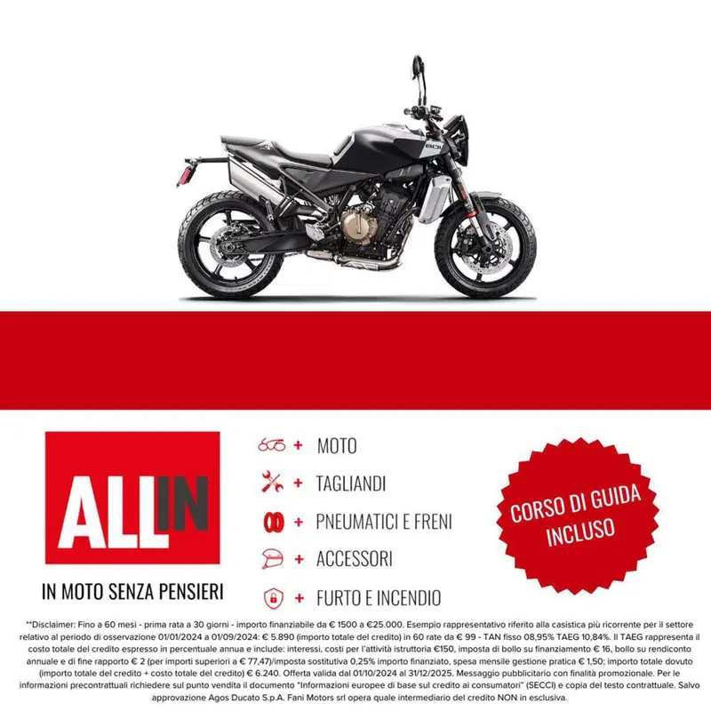 Husqvarna Svartpilen 801 (2024 - 26) (2)
