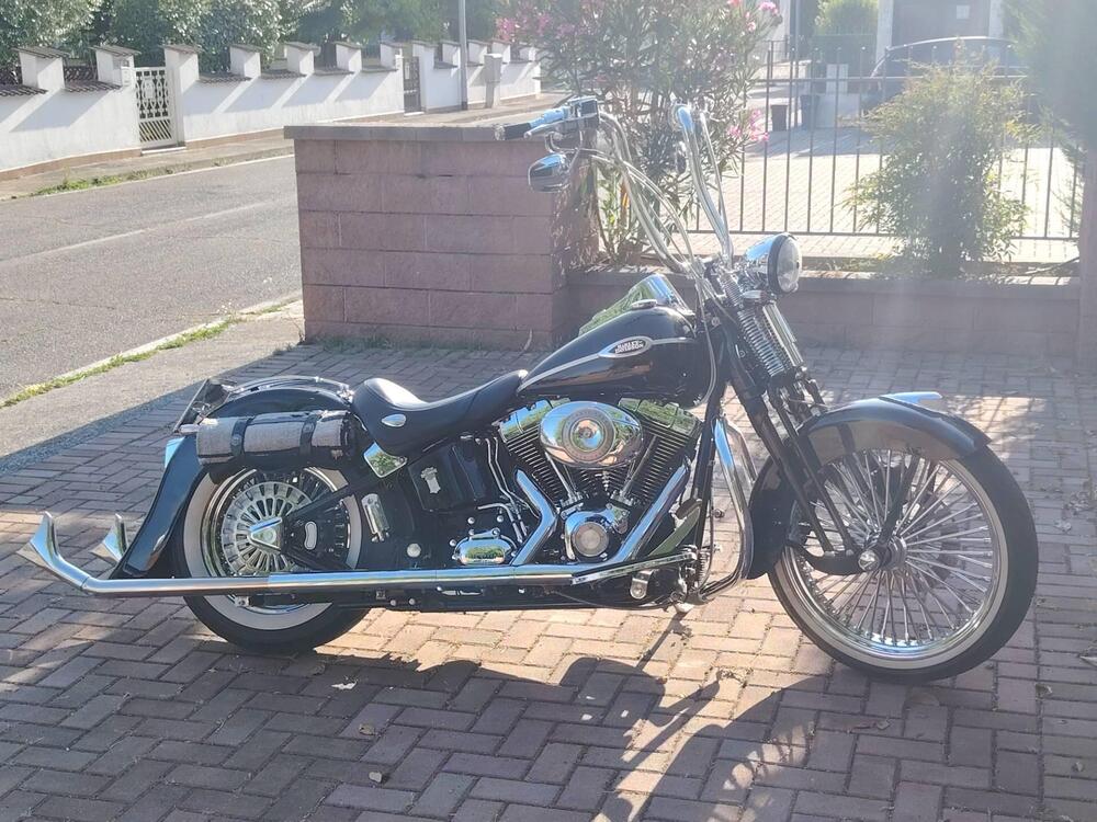 Harley-Davidson 1584 Springer Classic (2006 - 07) - FLSTSC (5)