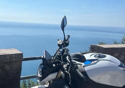 Bmw S 1000 R (2021 - 24) usata