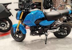 Honda MSX 125 Grom (2021 - 25) nuova