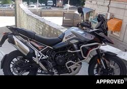 Triumph Tiger 900 GT Pro (2024 - 25) usata