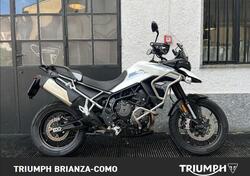 Triumph Tiger 900 GT Pro (2020 - 23) usata