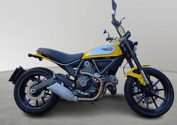Ducati Scrambler 800 Classic (2015 - 16) usata