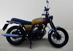 Brixton Motorcycles Cromwell 250 (2021 - 25) usata