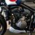 Triumph Trident 660 Triple Tribute Edition (2024) (9)