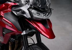 Triumph Tiger 1200 GT Pro (2024 - 25) usata