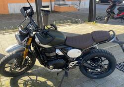 Triumph Scrambler 400 X (2024 - 25) usata