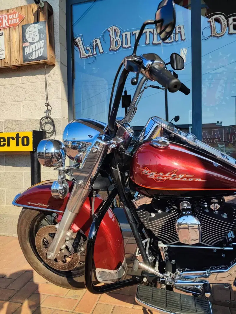 Harley-Davidson 1450 Road King (1999 - 03) - FLHR (5)