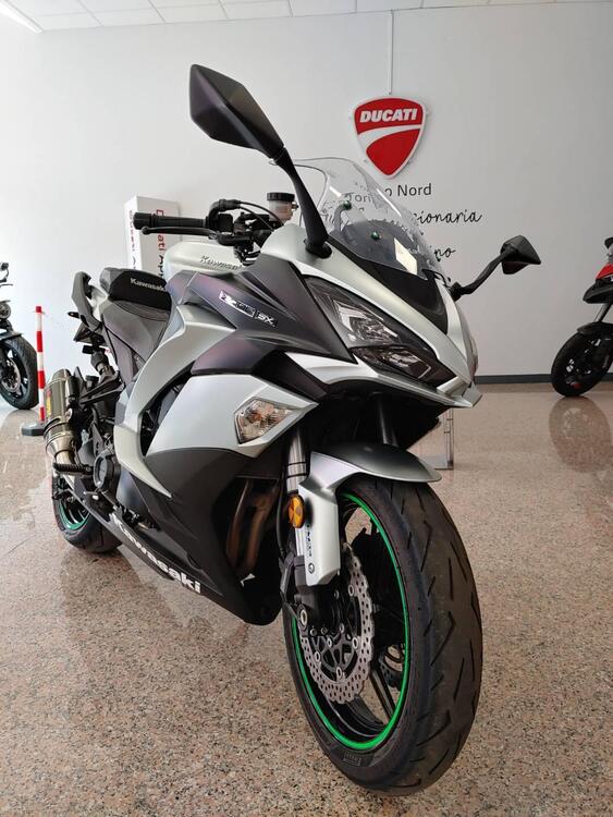 Kawasaki Z 1000 SX (2017 - 20) (2)