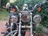 Harley-Davidson 1200 Low (2008 - 09) - XL 1200L (11)