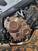 Honda CB 650 F ABS (2014 - 17) (16)