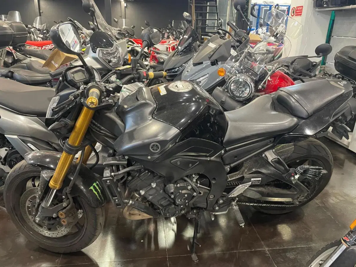 Yamaha FZ8 (2013 - 16)