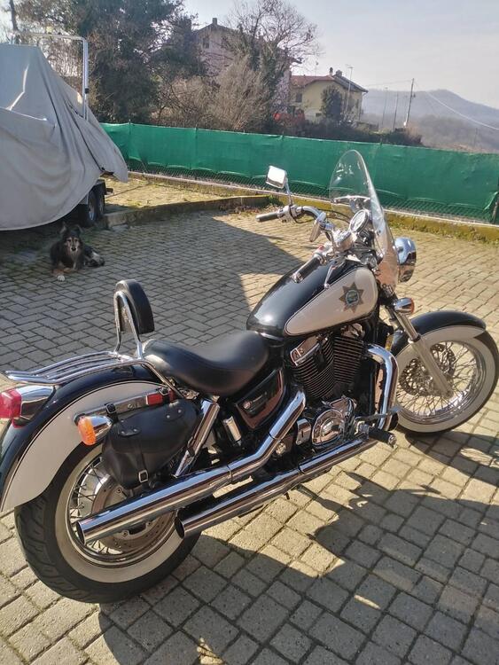 Honda VT 1100 C2 Shadow ACE (1995 - 02) (3)