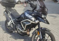 Triumph Tiger 900 GT Pro (2020 - 23) usata