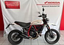 Ducati Scrambler 800 Desert Sled (2017 - 20) usata
