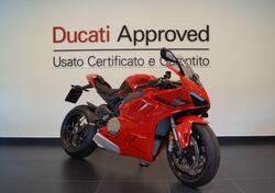 Ducati Panigale V4 (2022 - 24) usata