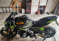 Kawasaki Z 900 A2 (2019) usata