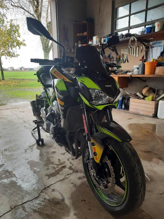 Kawasaki Z 900 A2 (2019) (3)