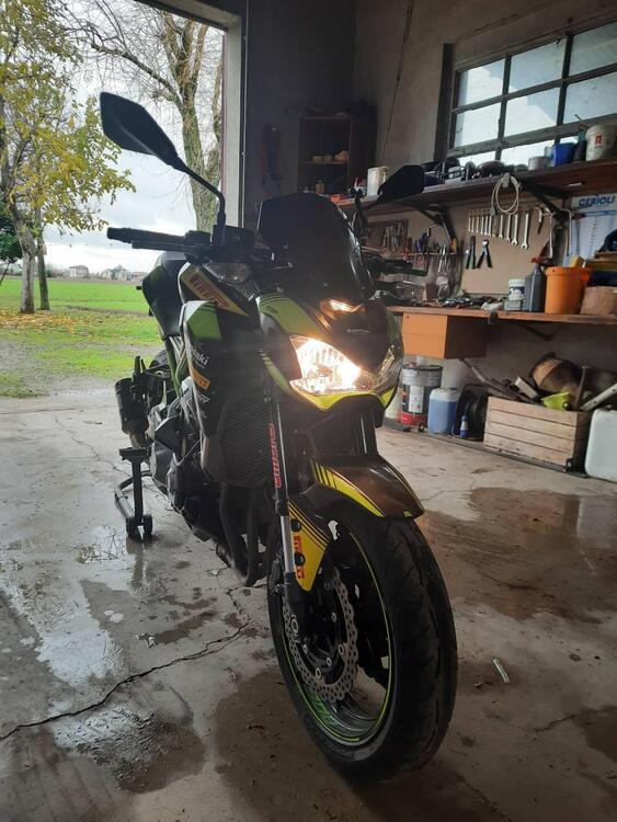 Kawasaki Z 900 A2 (2019) (5)