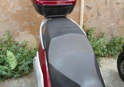 Peugeot Geopolis 250 usata