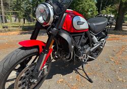 Ducati Scrambler 800 Icon (2021 - 22) usata