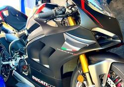 Ducati Panigale V4 1100 SP (2021) usata