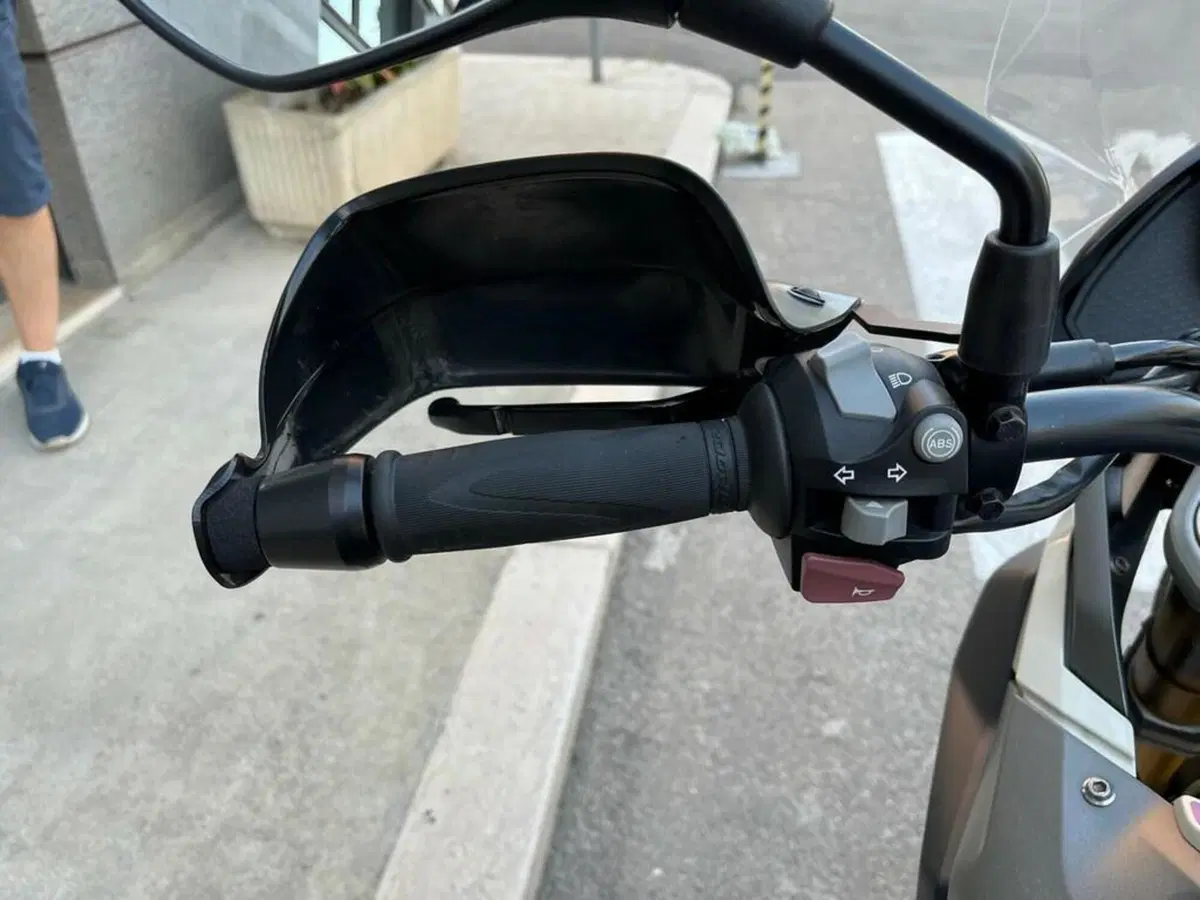 Bmw G 310 GS (2017 - 20) (8)
