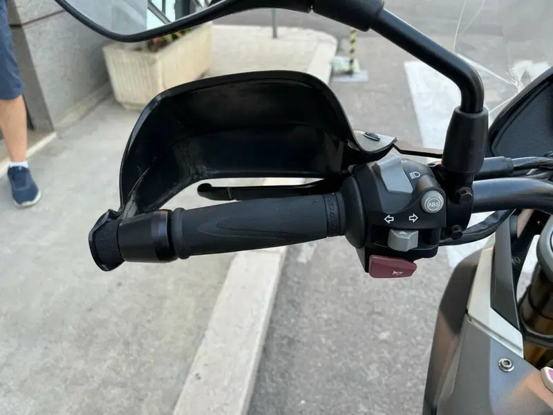 Bmw G 310 GS (2017 - 20) (8)
