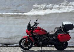 Harley-Davidson Pan America 1250 (2020 - 25) usata