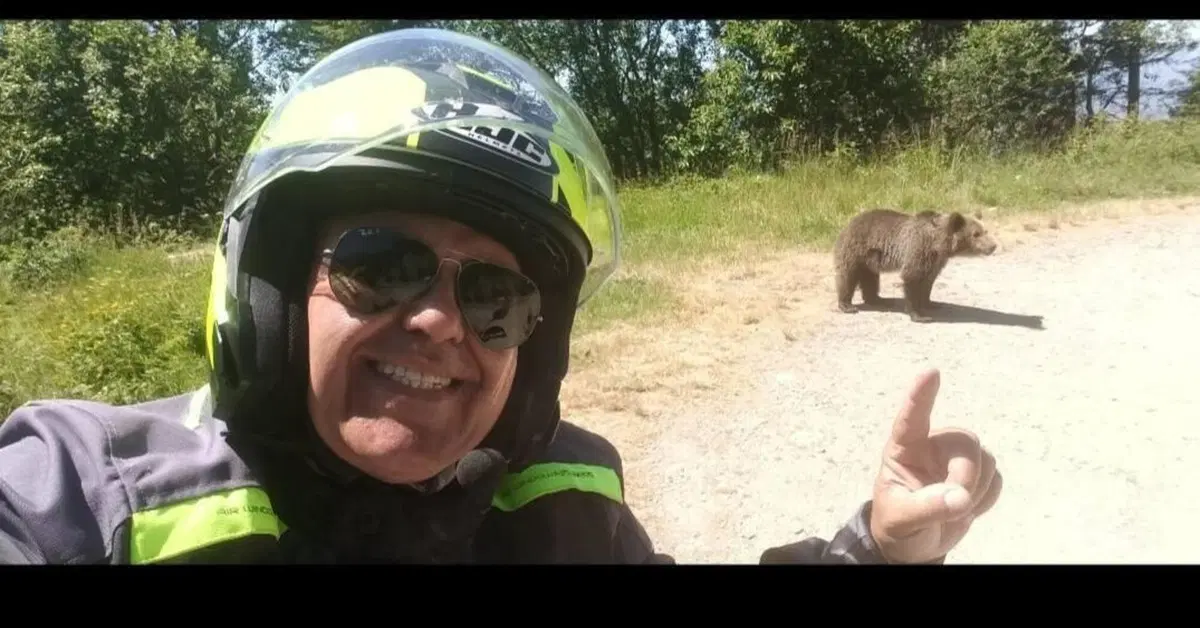 Si ferma a fotografare un orso, ma l'animale reagisce e lo uccide