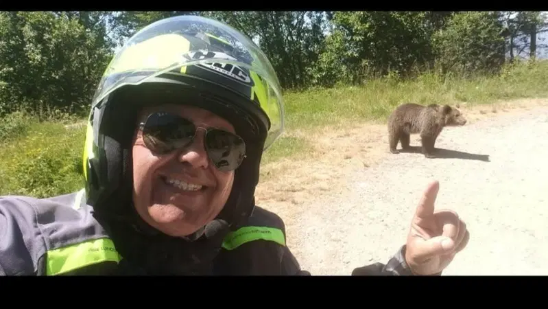 Si ferma a fotografare un orso, ma l'animale reagisce e lo uccide