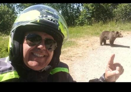 Si ferma a fotografare un orso, ma l'animale reagisce e lo uccide
