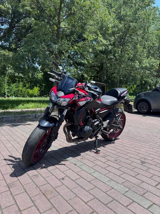 Kawasaki Z 650 (2021 - 24)