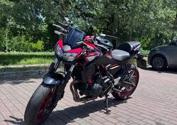 Kawasaki Z 650 (2021 - 24) usata