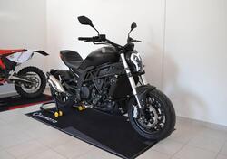 Benelli 502 C (2021 - 25) usata