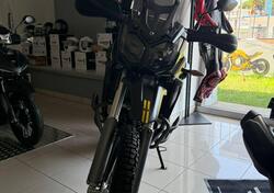 Voge Valico 300 Rally (2022 - 25) nuova