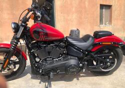 Harley-Davidson Street Bob 114 (2021 - 24) usata