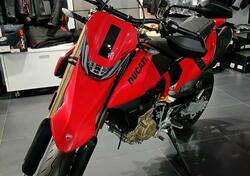 Ducati Hypermotard 698 Mono (2024 - 25) usata