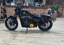 Harley-Davidson 1200 Roadster (2017 - 20) - XL 1200R usata