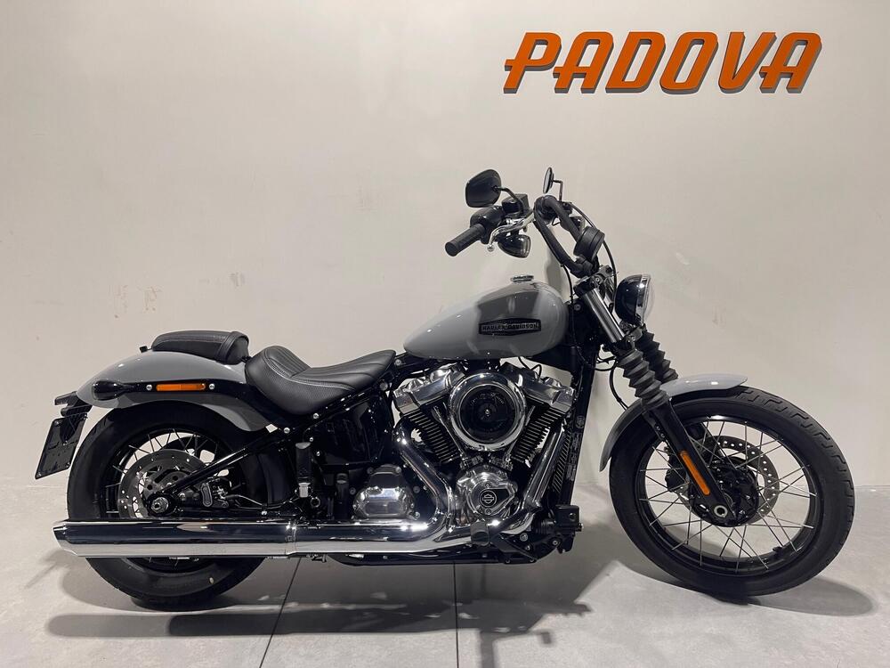 Harley-Davidson Street Bob 117 (2025)