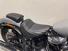 Harley-Davidson Street Bob 117 (2025) (6)