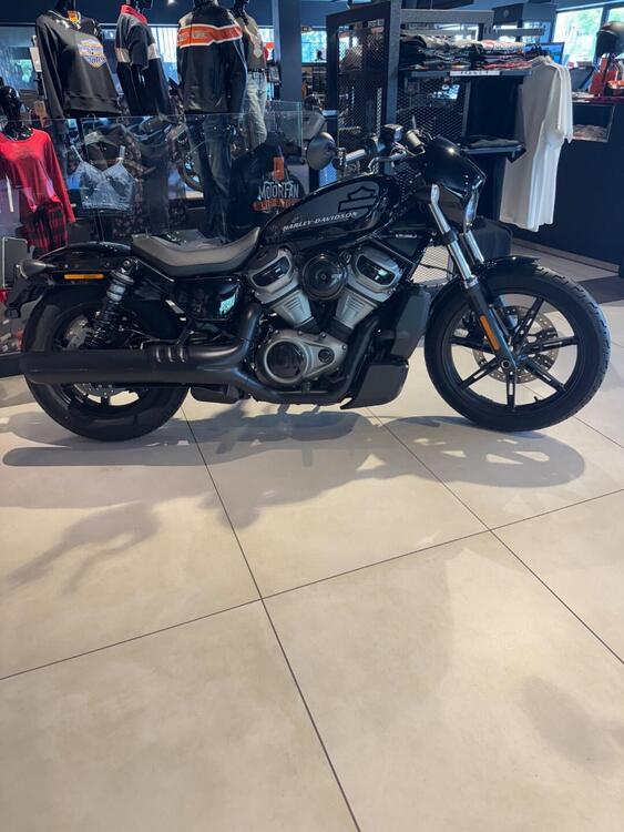 Harley-Davidson Nightster (2023 - 25) (2)