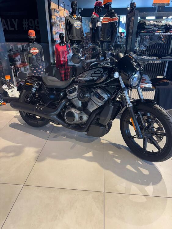 Harley-Davidson Nightster (2023 - 25)