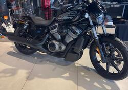 Harley-Davidson Nightster (2023 - 25) usata